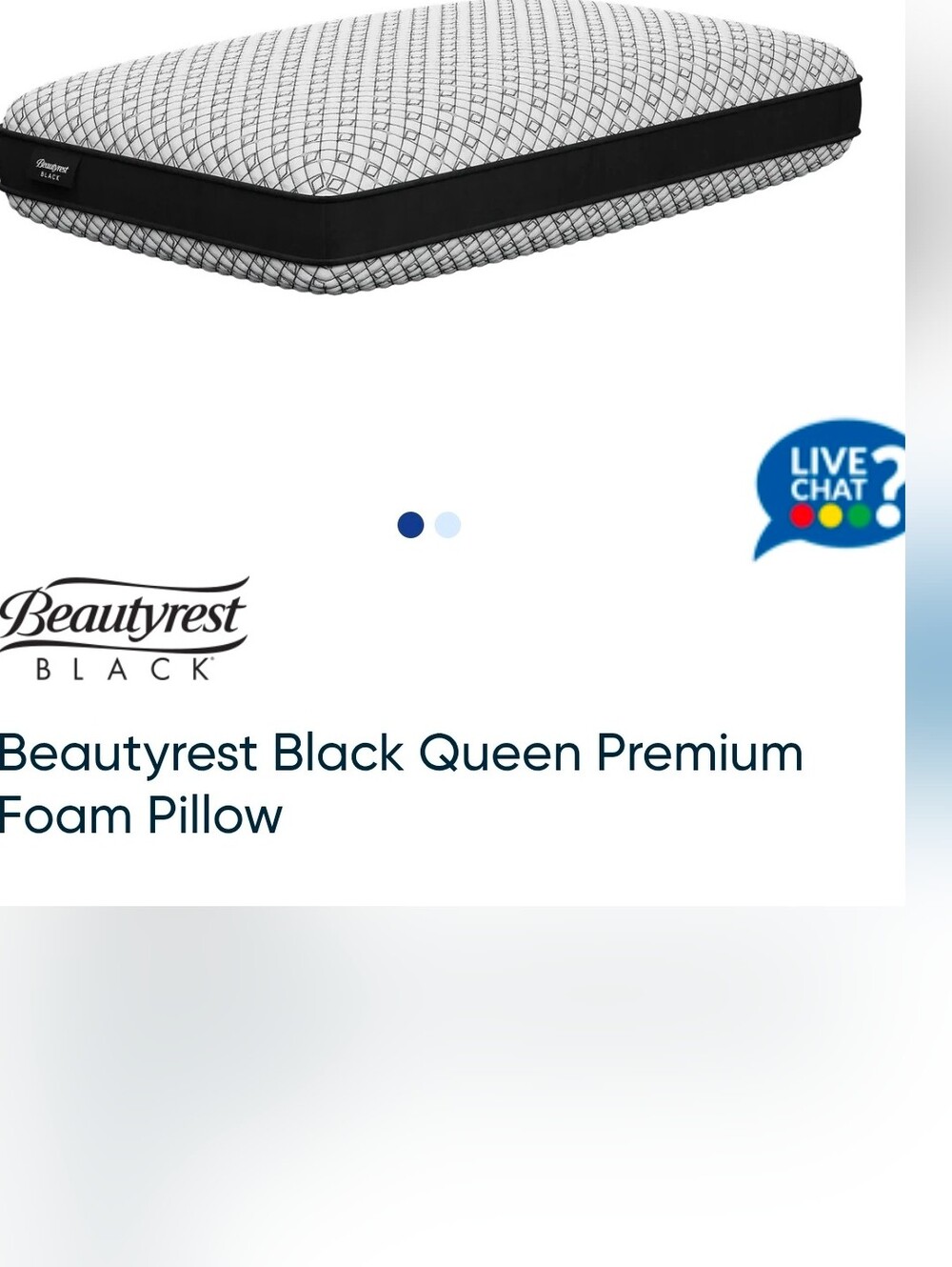 Beautyrest Black Queen Premium Foam Pillow